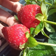 Ll同学的个人资料头像