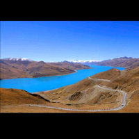 用户5671460518299头像