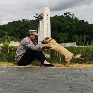 强哥骑行旅途头像