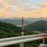 爱喝果冻橙汁头像