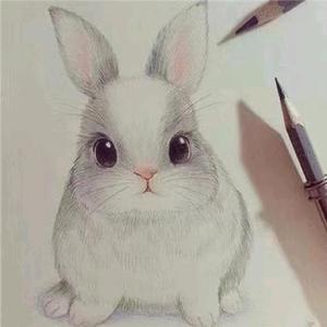 @哈头像