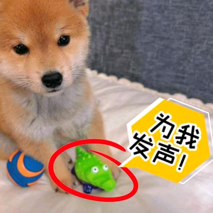 LY头像