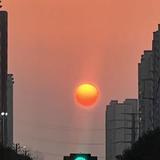 清净自明973头像