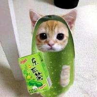 用户7506255491618头像