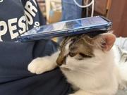 KevinLyu的个人资料头像