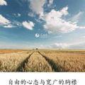 心之圣洁头像