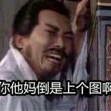 采菊东梨花说声我爱你头像