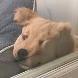 别离Q头像