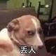 不买就看看Y · 索纳塔车主·车龄3年头像