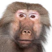 Azu002的个人资料头像