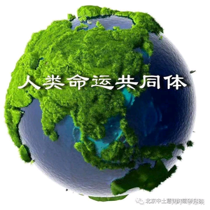 众国汇-人类健康命运共同体头像