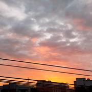 yuhaofe的个人资料头像