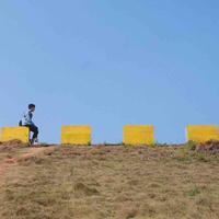 盒装冰红茶头像