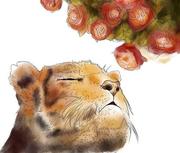 嘉伦哥的个人资料头像