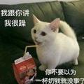 很久很久以有这么个人头像