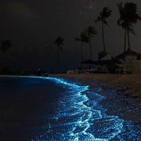 用户3410707551765头像