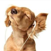 NicholasStone的个人资料头像