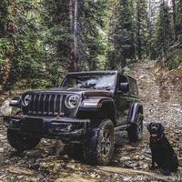 沙湖里的小虫子头像