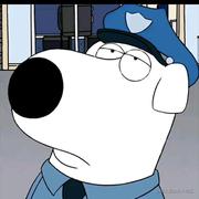 一只侯子的个人资料头像