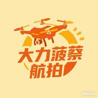 大力菠蔡航拍头像