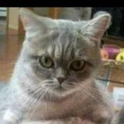 0_0167的个人资料头像