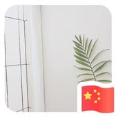 一片小绿叶2头像