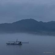 蚂蚁家的砖的个人资料头像