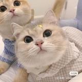 用户5482836766073头像