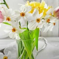 自由风筝mm头像