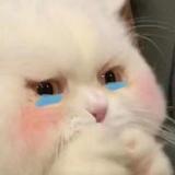 手机用户96108741647头像