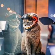 Know的个人资料头像