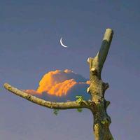 用户6781845740339头像