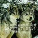 Fantast79444的个人资料头像