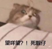 cainiao888的个人资料头像