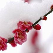 joe仇的个人资料头像