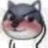 是啊亮呢头像