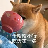 孤弎贰头像