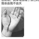 用户1031107716961头像