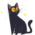 猫哥扒娱头像