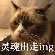 朱璐的个人资料头像