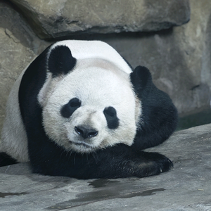所见即是我丶头像