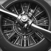 花样年华whs头像