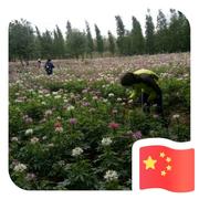 忆惜梦的个人资料头像