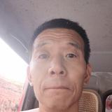 高贵百灵鸟IV头像
