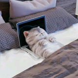 宁静竹子头像