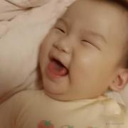 不吃鱼的傻猫的个人资料头像