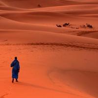 沉着画板zCc头像