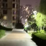 用户9254263337646头像