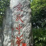 Chenken88头像