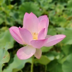 和音怎么练习 头条搜索